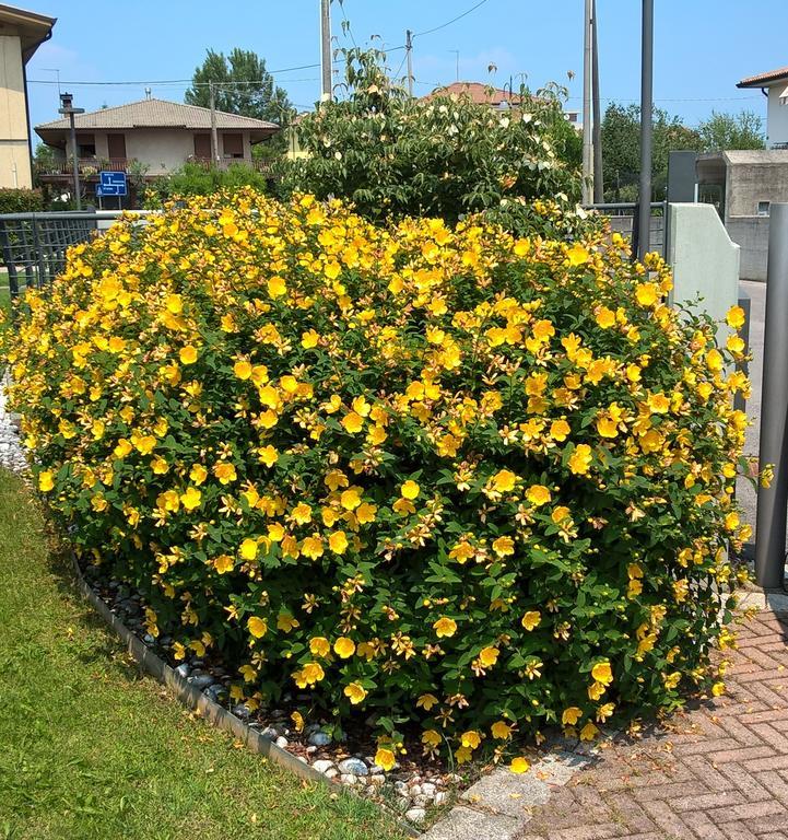 Hotel Ca Degli Artisti Trevignano Exteriér fotografie